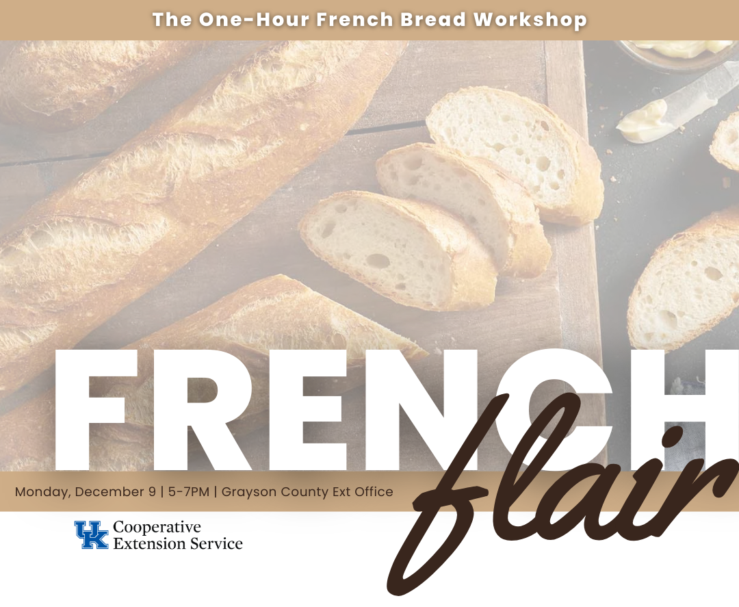 french flair the one hour french bread workshop