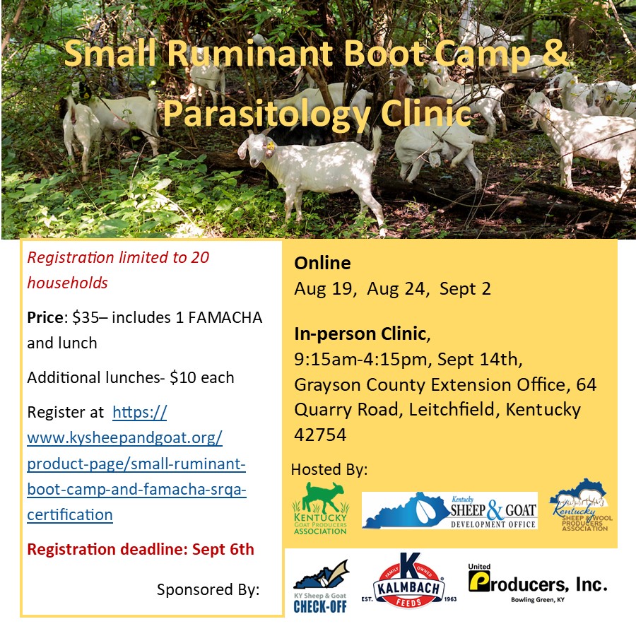 small ruminant boot camp