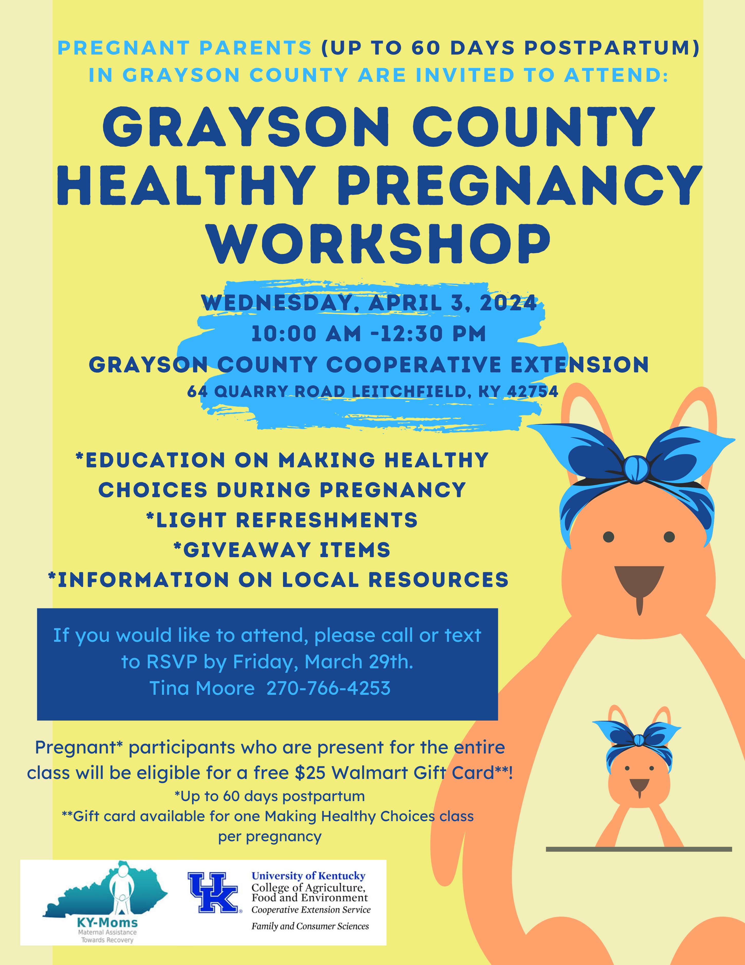 Grayson County Healthy Pregnancy Workshop