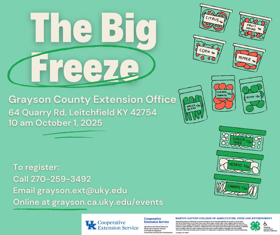 The Big Freeze text with food containers