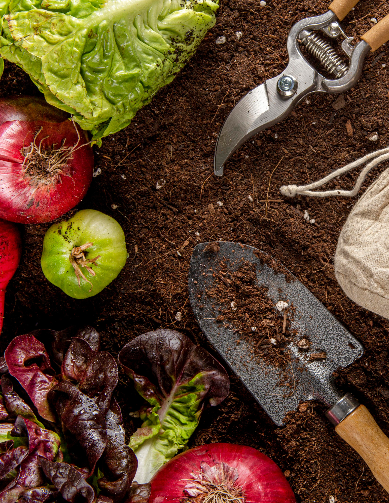 garden tools and veggies