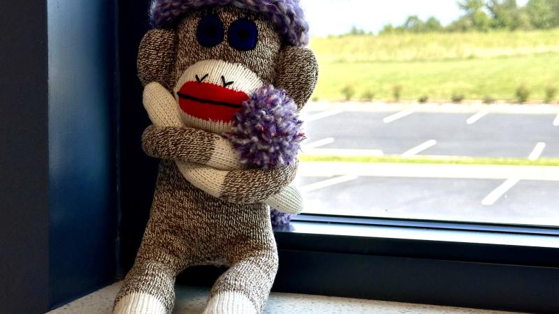 sock monkey sitting in window